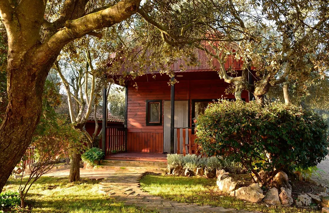 Camping Alquézar-1